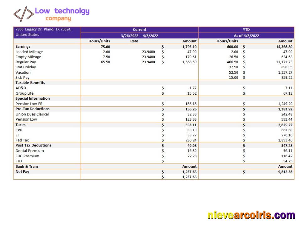 low technology company paystub